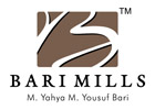 Bari Mills 2013 Website