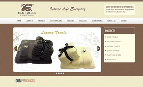 Bari Mills 2013 Website