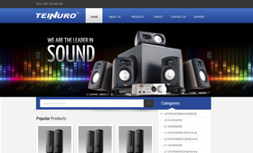 Teinuro Audio Co Ltd China and Pakistan